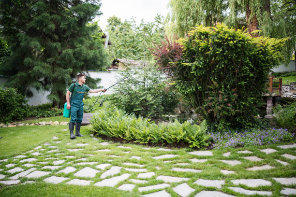 Best Lawn Disease Treatment  in Iona, ID